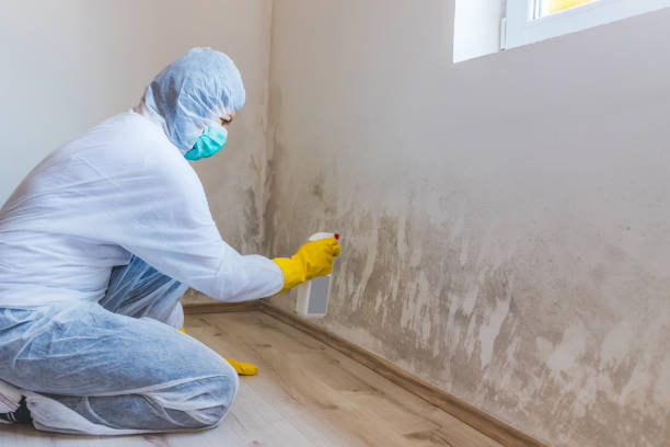 Licensed Commercial Mold Remediation service in Houston, TX - WQB Mold Removal
