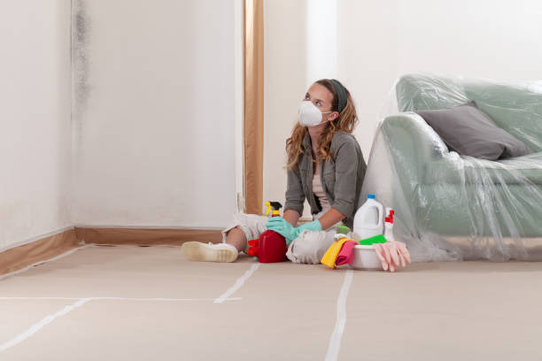 Reliable Commercial Mold Remediation contractor in Houston, TX by WQB Mold Removal